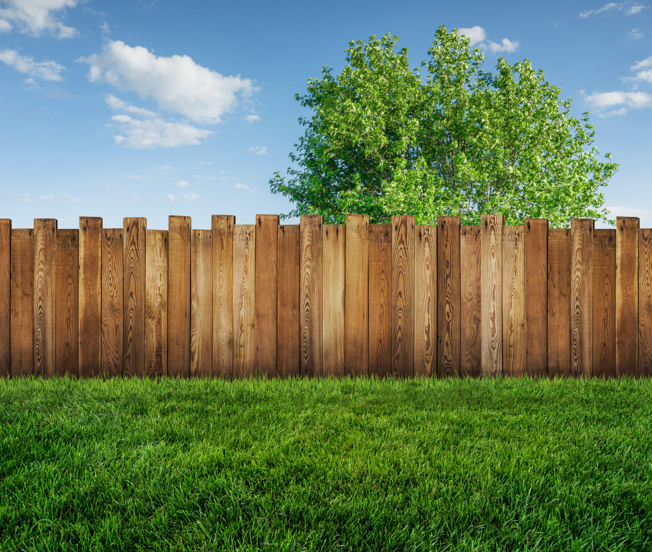 Seasonal Fence Care: Tips for Year-Round Maintenance